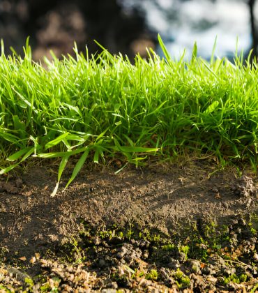 [GetPaidStock.com]-67a9c8a69904a